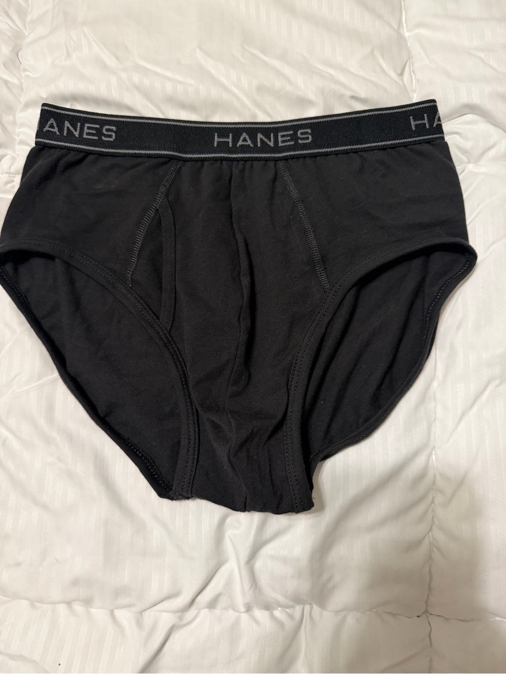 Hanes Men's Briefs